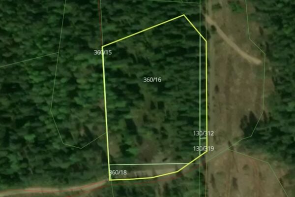 Parduodamas 0,95 ha miškas Ignalinos raj.