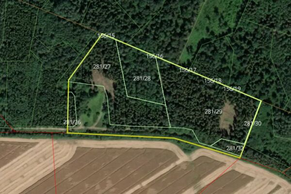 Parduodamas 5,02 ha miškas Pasvalio raj.