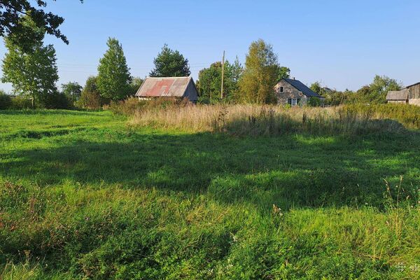 Parduodama jauki kaimo sodybvietė Kretingos r. – 27 arų kampinis sklypas už išskirtinę kainą