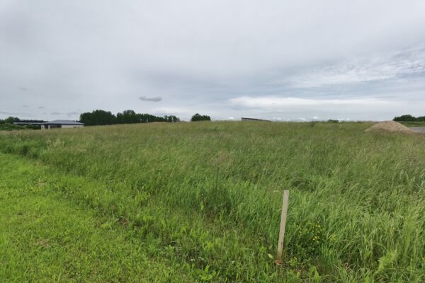 12 a sklypas Alytaus r. sav., Radžiūnai, Radžiūnų g.