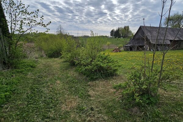  Parduodama 35 arų sodyba Juknėnuose  A. ir M. Miškinių 25