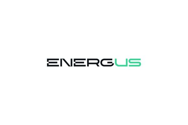 Saulės Elektrinių Projektų Vadovas (-Ė) (Saulės Energetika)