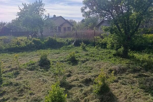 6 a sklypas Klaipėdos r. sav., Dituva
