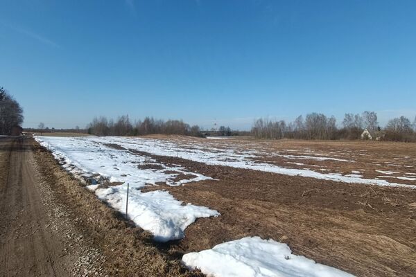 290 a sklypas Vilniaus r. sav., Popielai