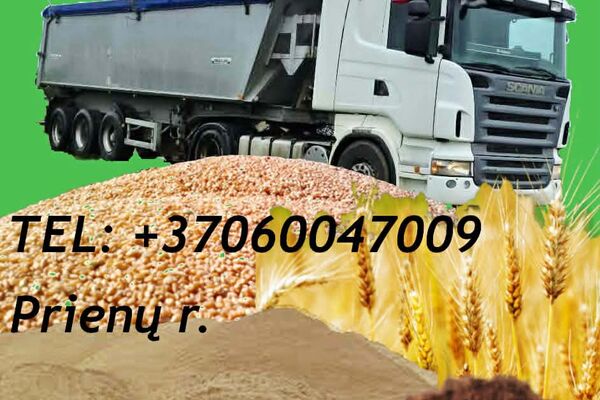 Birių krovinių pervežimas