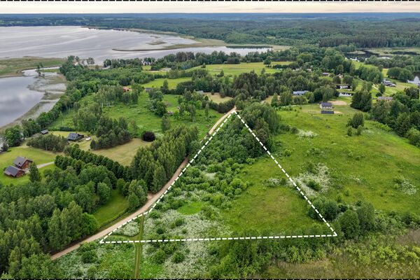 1,5 ha rekreacinis sklypas prie Alaušo ežero su tvenkinio pakrante Maneičių k., Utenos r.