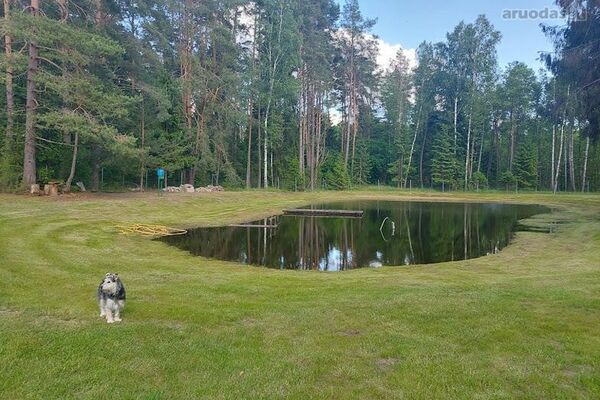 Parduodama tvarkinga sodyba Grūto k.