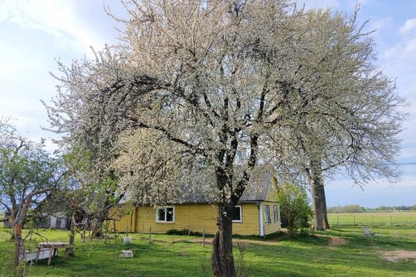 Parduodamas namas- vienkiemis Šakių raj.
