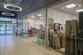 Patalpos Panevėžys, Panevėžys, Molainių g.