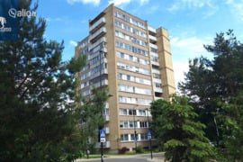 1 kamb. butas Vilnius, Vilkpėdė, Skroblų g.