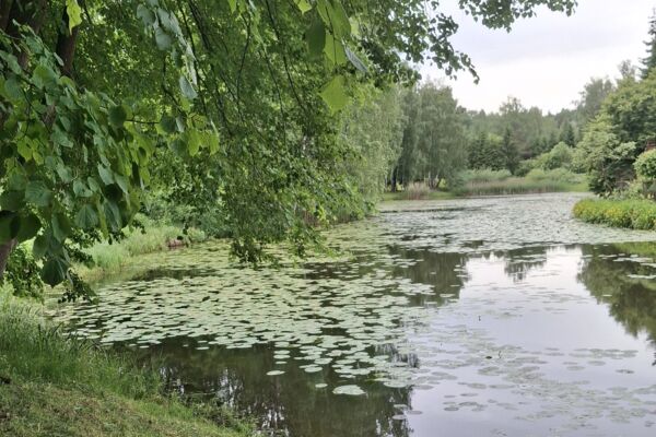 Gyvenamas namas sodų bendrijoje prie miško