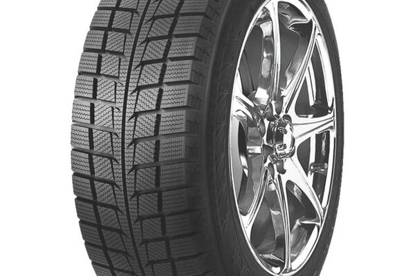 Goodride SW618 225/55R18 98H, Žieminės padangos