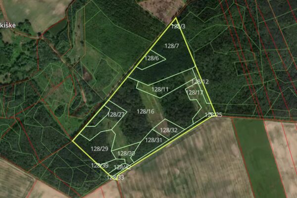 Parduodamas 25,1 ha miškas Ignalinos raj.