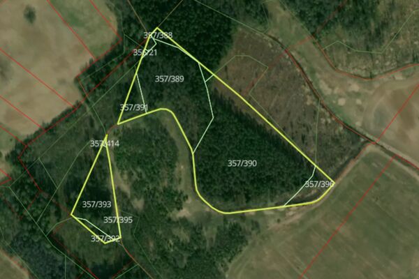 Parduodama dalis miško 0,6 ha Anykščių raj.