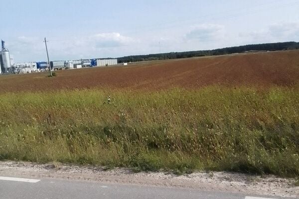 93 a sklypas Trakų r. sav., Senasis Tarpupis