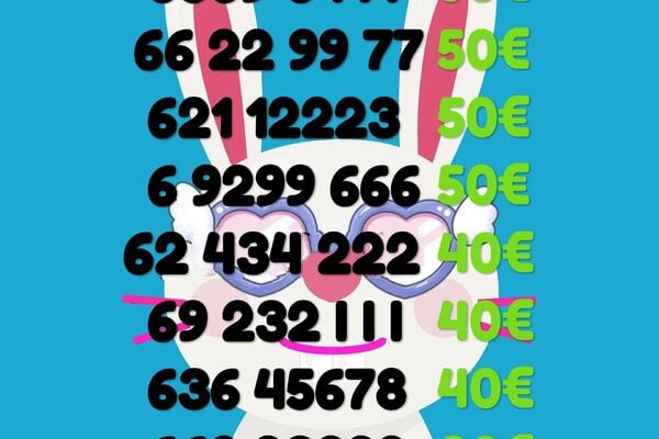 Lengvas numeris  111 222 333