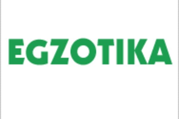 Bridgestone Turanza 6 225/50R17 98Y XL, Vasarinės padangos
