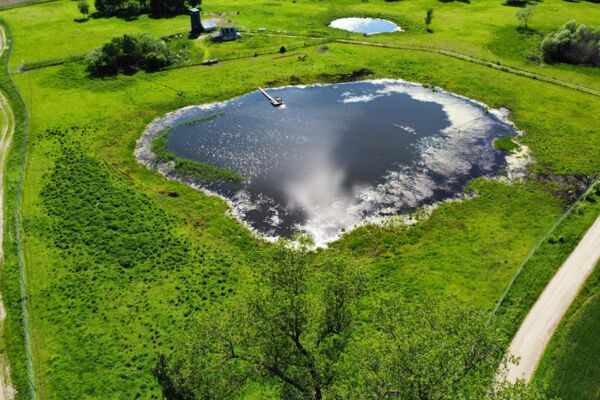 Parduodamas 9,5 ha elnių ūkis su banda Anykščių rajone