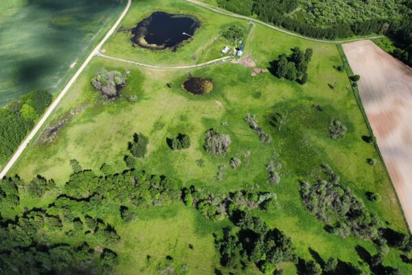 Parduodamas 9,5 ha elnių ūkis su banda Anykščių rajone