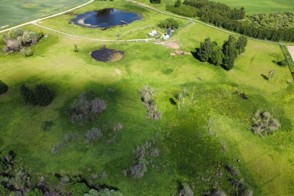 Parduodamas 9,5 ha elnių ūkis su banda Anykščių rajone