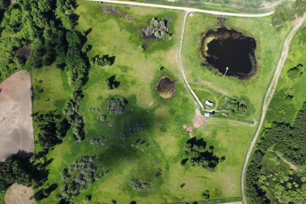 Parduodamas 9,5 ha elnių ūkis su banda Anykščių rajone