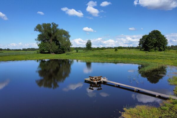 Parduodamas 9,5 ha elnių ūkis su banda Anykščių rajone