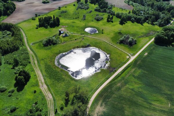 Parduodamas 9,5 ha elnių ūkis su banda Anykščių rajone