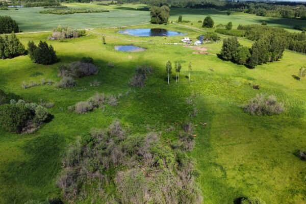 Parduodamas 9,5 ha elnių ūkis su banda Anykščių rajone