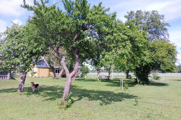 Parduodamas namas- vienkiemis Šakių raj.