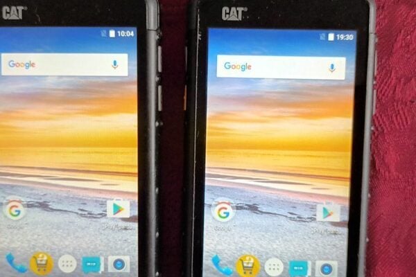 Cat S30