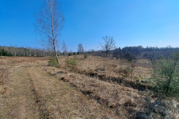 Sklypas prie europos centro