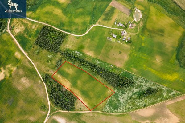 135.88 a sklypas Trakų r. sav., Staškūniškės