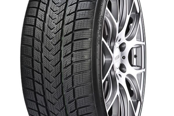 Gripmax Suregrip Pro Winter 335/25R22 105V XL, Žieminės padangos