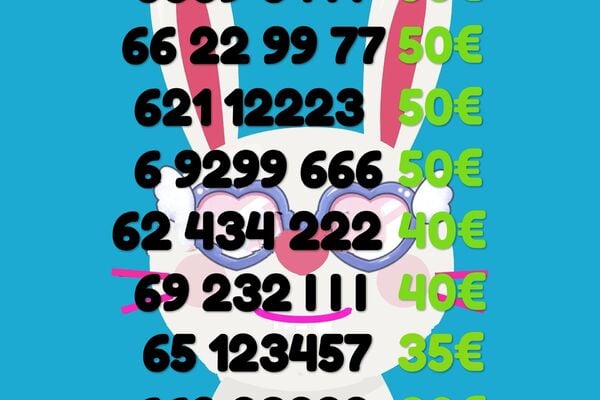 Lengvas numeris  111 222 333