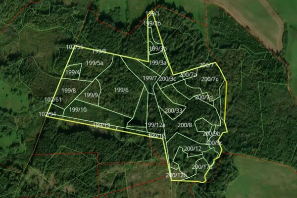 Parduodamas 20,6 ha miškas Telšių raj.