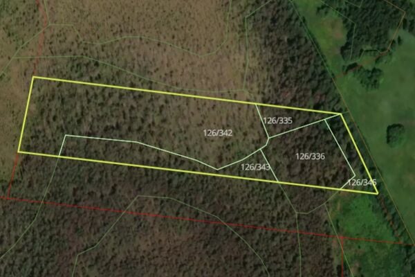 Parduodamas 3,54 ha miškas Anykščių raj.
