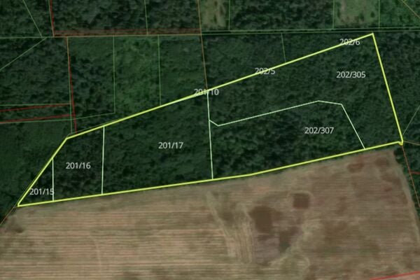 Parduodamas 12,81 ha miškas Kėdainių raj.