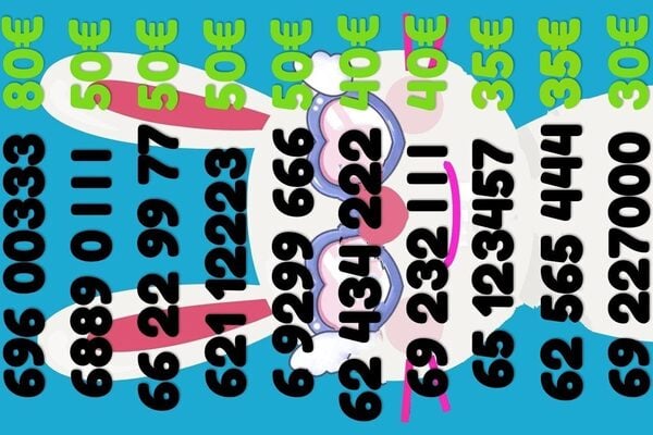 Lengvas numeris  111 222 333