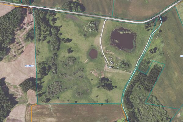 Parduodamas 9,5 ha elnių ūkis su banda Anykščių rajone