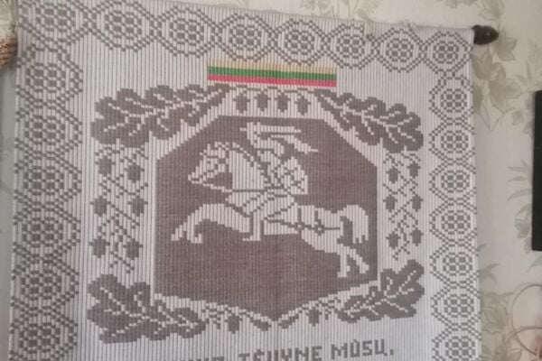 Audinys