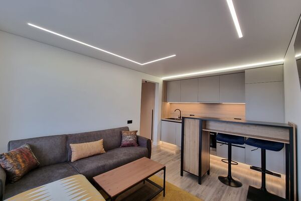 2 kambarių buto nuoma - Vilnius, Viršuliškės, Šešuolių g. 9
