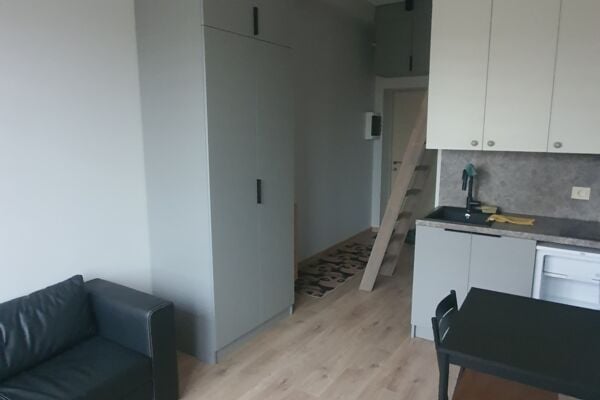Vieno kambario mini loftas, Aukštieji Paneriai