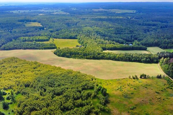 500.0 a sklypas Trakų r. sav., Vytautava
