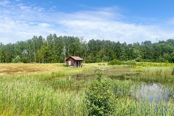 Parduodama sodybvietė su pamatais ir pirtimi Degučių k., Zarasų r.