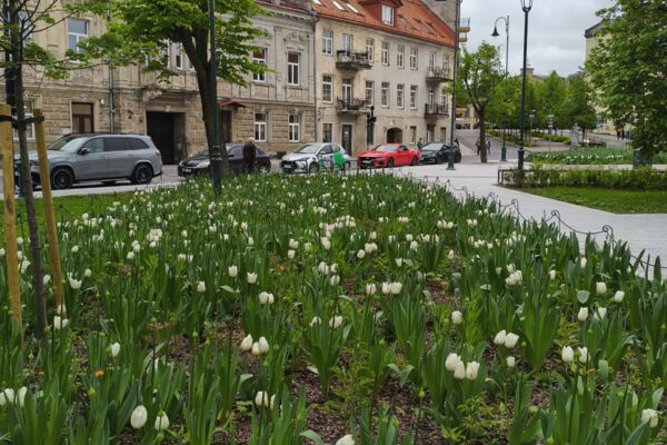 2 kamb. butas Vilnius, Senamiestis, Arklių g.