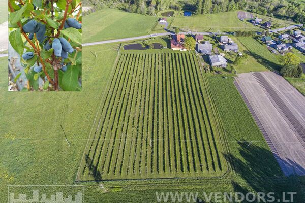 Parduodama Sodyba Rietavo Sav, Žadvainių K, Jūros G.