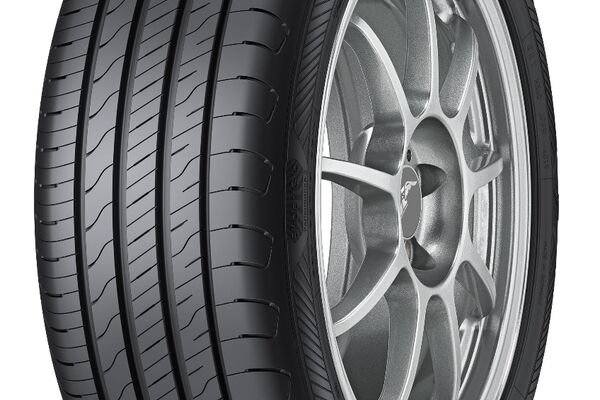Goodyear EfficientGrip Performance 2 195/65R15 91H, Vasarinės padangos